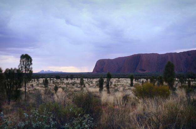 Approaching Sunset. Uluru and Kata Tjuta. A purplish tinge covers much of the land. Save The Kimberley