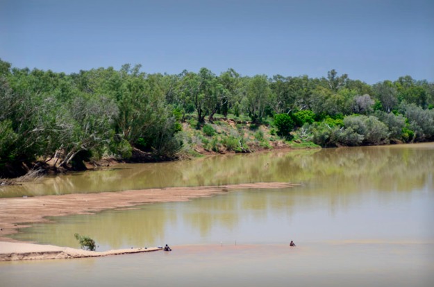 Swimming, Fitzroy River, Fitzroy Crossing